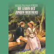 Постер книги Страдания юного Вертера / Die Leiden des Jungen Werthers