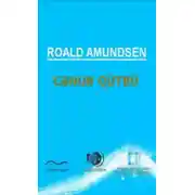 Постер книги Cənub qütbü