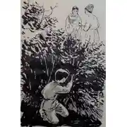 Постер книги Nurəddin 