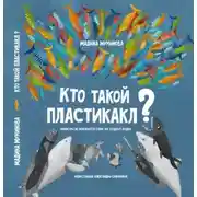 Постер книги Кто такой пластикакл?