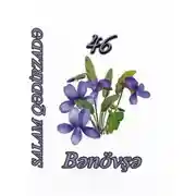 Постер книги 46 bənövşə