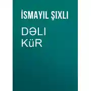 Постер книги Dəli Kür 