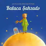 Постер книги Balaca şahzadə