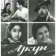 Постер книги Aygün