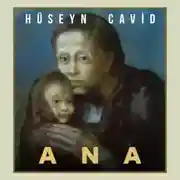 Постер книги Ana