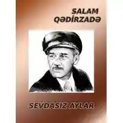 Постер книги Sevdasız aylar