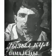 Постер книги Qızıl gül olmayaydı