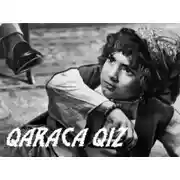 Постер книги Qaraca qız