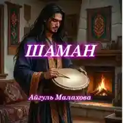 Постер книги Шаман