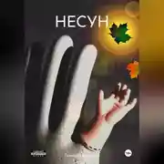 Постер книги НЕСУН