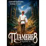 Постер книги Пламенев. Книга I