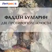 Постер книги Две противоположности