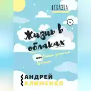 Постер книги Жизнь в облаках, или Тайна золотого времени