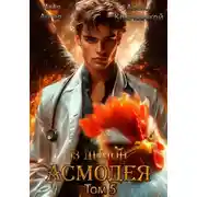 Постер книги 13 демон Асмодея. Том 5