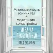 Постер книги Многомерность тонких тел + медитация-сонастройка