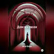 Постер книги Дом из тюля