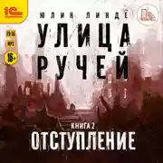 Постер книги Улица Ручей. Книга 2. Отступление