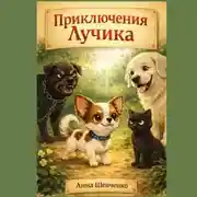 Постер книги Приключения Лучика
