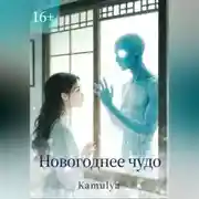 Постер книги Новогоднее чудо
