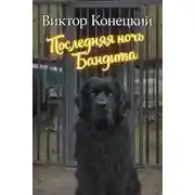 Постер книги Последняя ночь Бандита