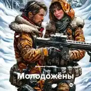 Постер книги Молодожёны