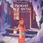 Постер книги Рыжий кот Фута и затерянный домик в горах