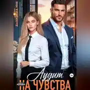 Постер книги Аудит на чувства