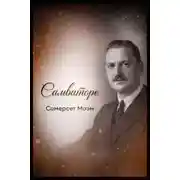 Постер книги Сальваторе
