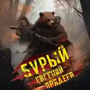 Постер книги Бурый. Медальон удачи