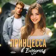 Постер книги Принцесса в Бодунах