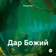 Постер книги ДАР БОЖИЙ