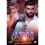 Постер книги Развод. Жизнь после миллионера