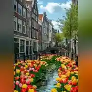 Постер книги Слепая любовь