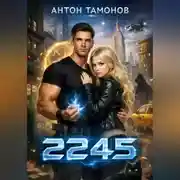 Постер книги 2245