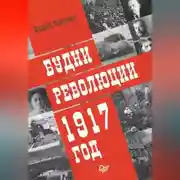 Постер книги Будни революции. 1917 год