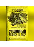 Сергей Холодов - Уголовный розыск в СССР. 35 резонансных и кровавых преступлений