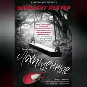 Постер книги Похищенные