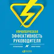 Постер книги Управленческая эффективность руководителя