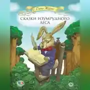 Постер книги Сказки Изумрудного Леса