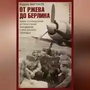 Постер книги От Ржева до Берлина. Воины 3-й гвардейской истребительной авиадивизии о себе и боевых товарищах