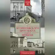 Постер книги От Вознесенского проспекта до реки Пряжи. Краеведческие расследования по петербургским адресам