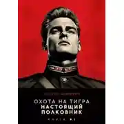 Постер книги Настоящий полковник