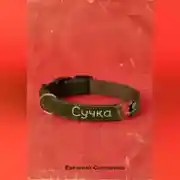 Постер книги Сучка