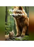 Александр Максимов - Рассказы о животных