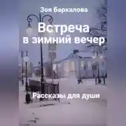 Постер книги Встреча в зимний вечер