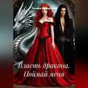 Постер книги Власть дракона. Поймай меня