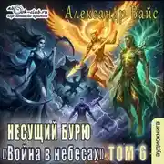 Постер книги Несущий бурю. Том VI. Война в тенях