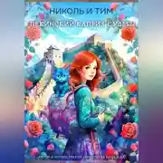 Постер книги Николь и Тим «Пекинский каприз судьбы»
