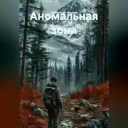 Постер книги Аномальная зона
