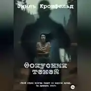 Постер книги Фокусник теней